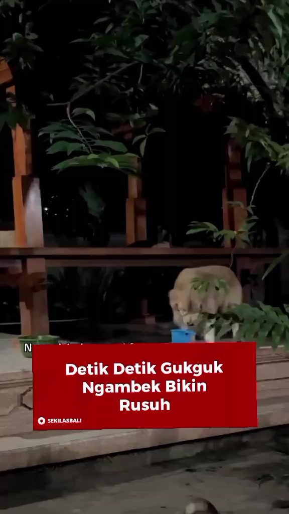 @Sekilas Bali