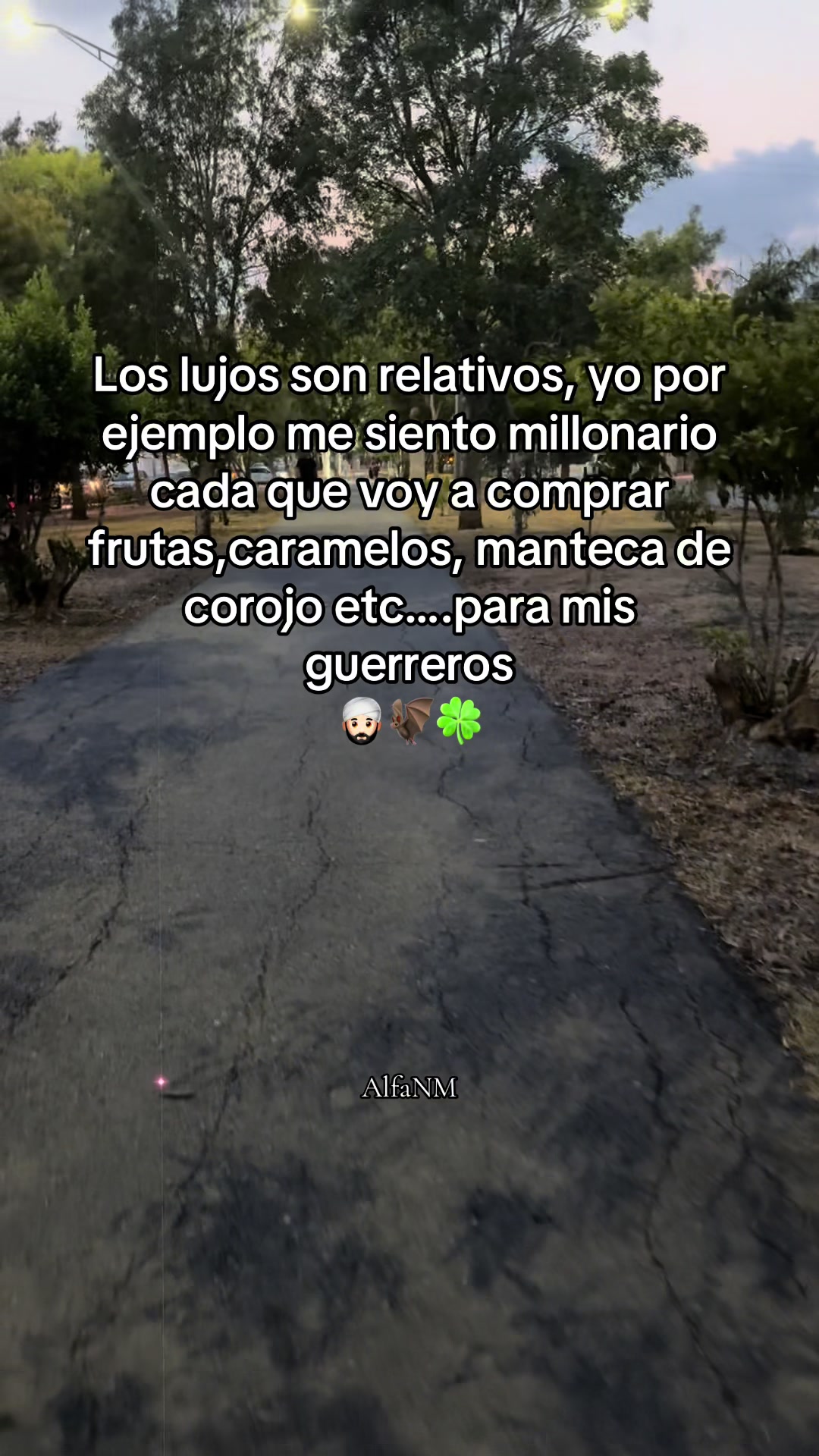 @AlfaNM.