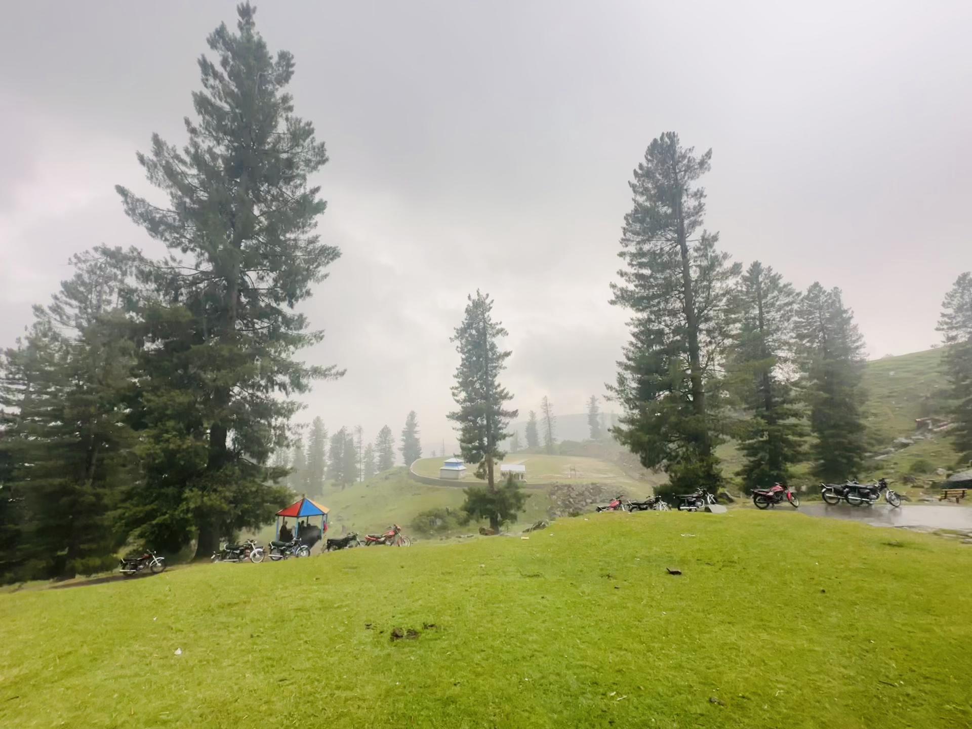 @Kashmiri Boy✅