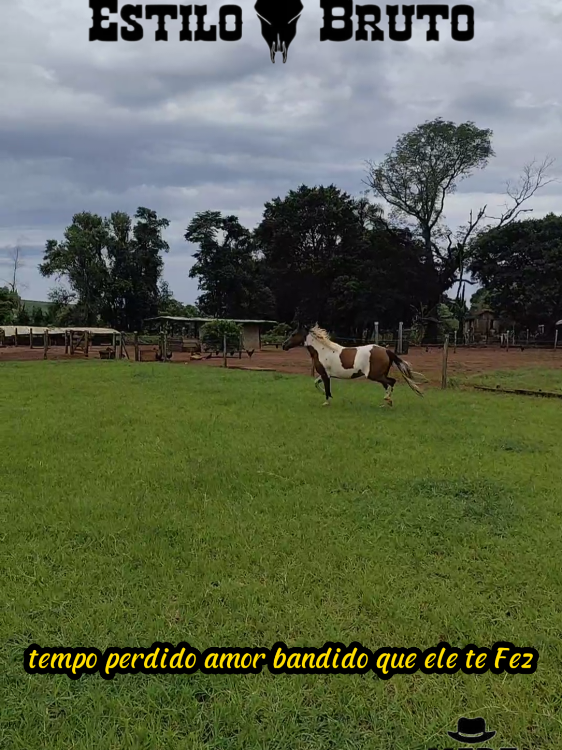 @Renan Boiadeiro 🐂