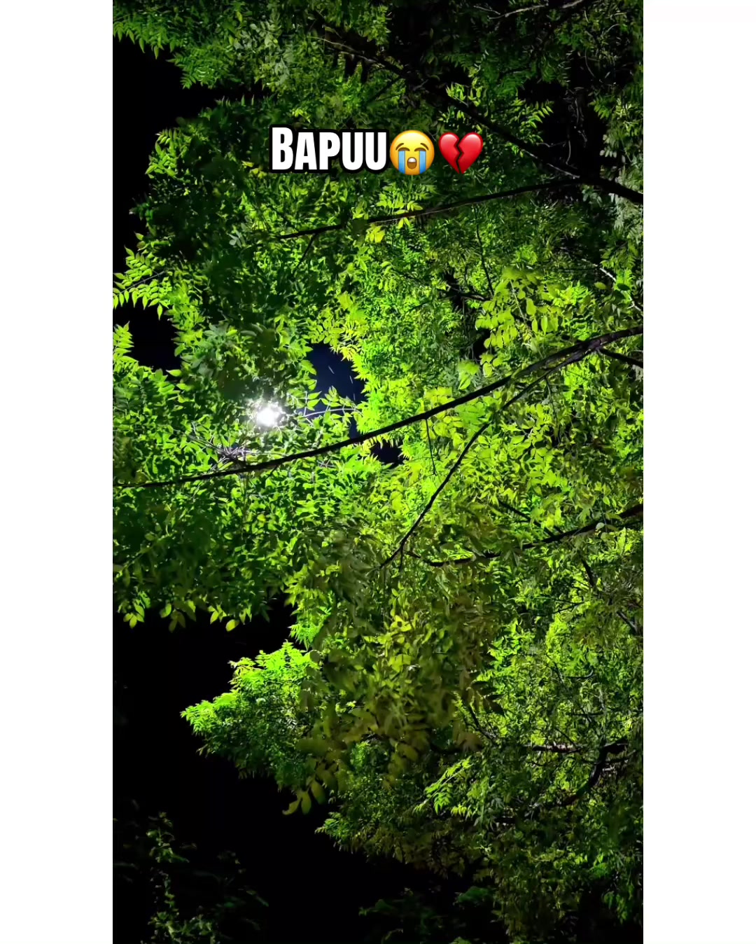 @⚜️𝐊𝐇𝐎𝐊𝐇𝐀𝐑❤️🩹