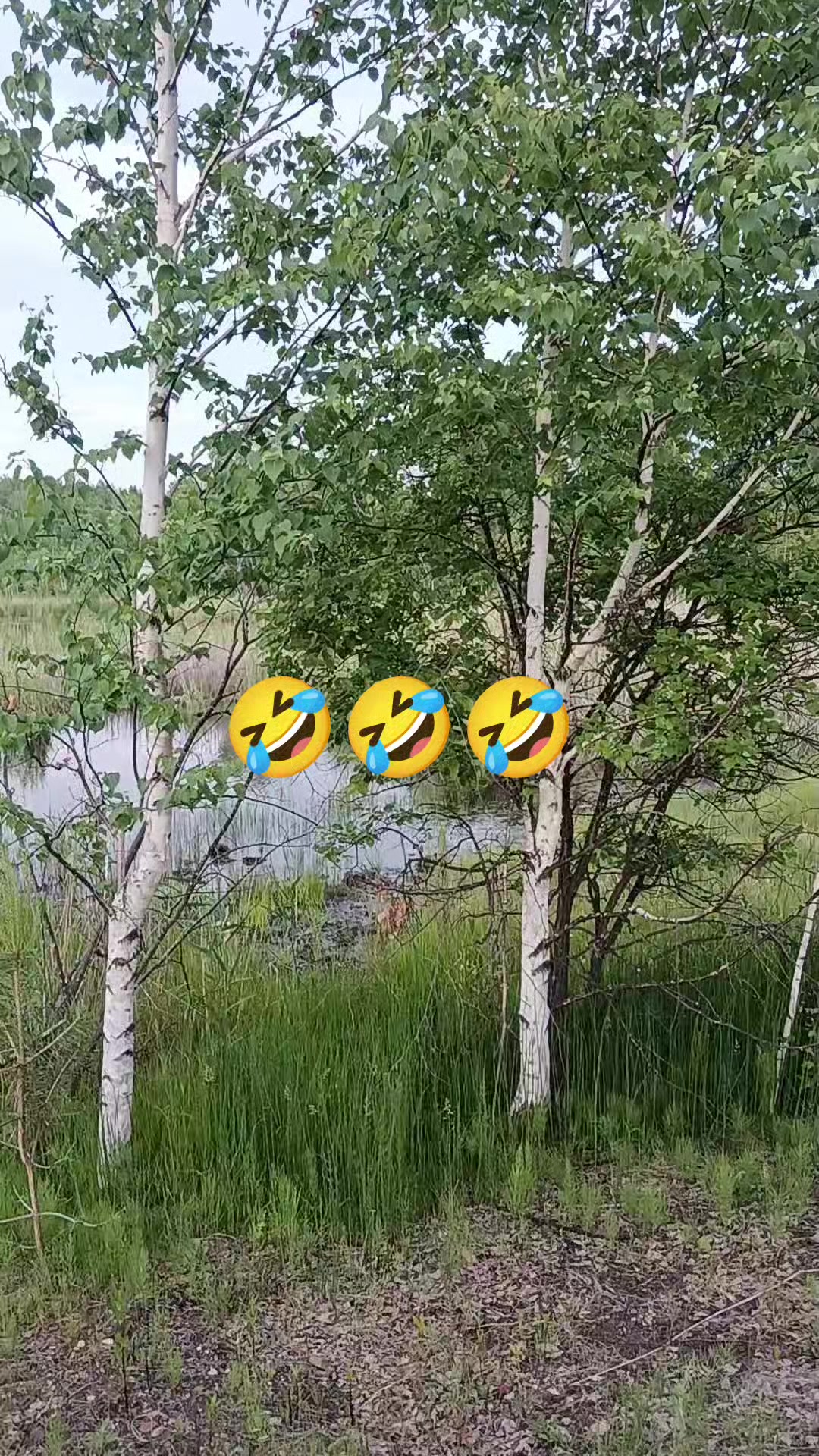@❤️СеРдЦеЕдКа❤️