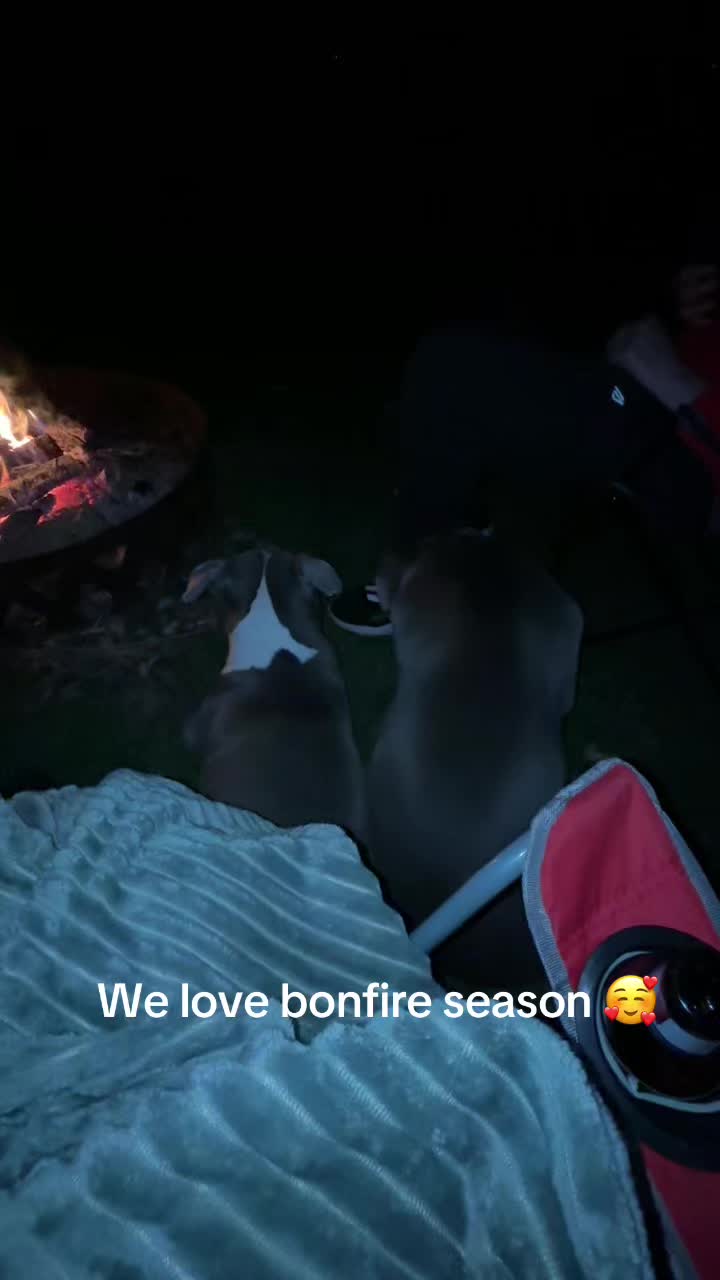 @OurPittieLittleLife🐶