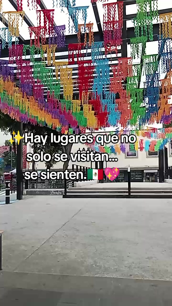 @elda Chipol