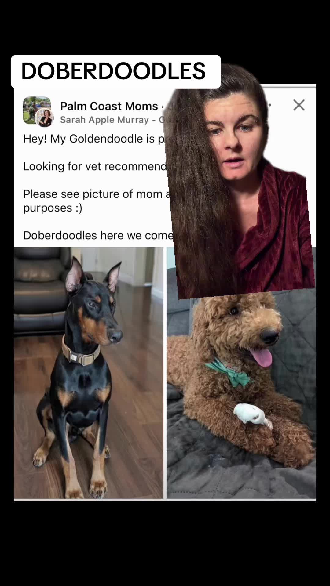 @Jess Shark🐾DOG PACK🐾
