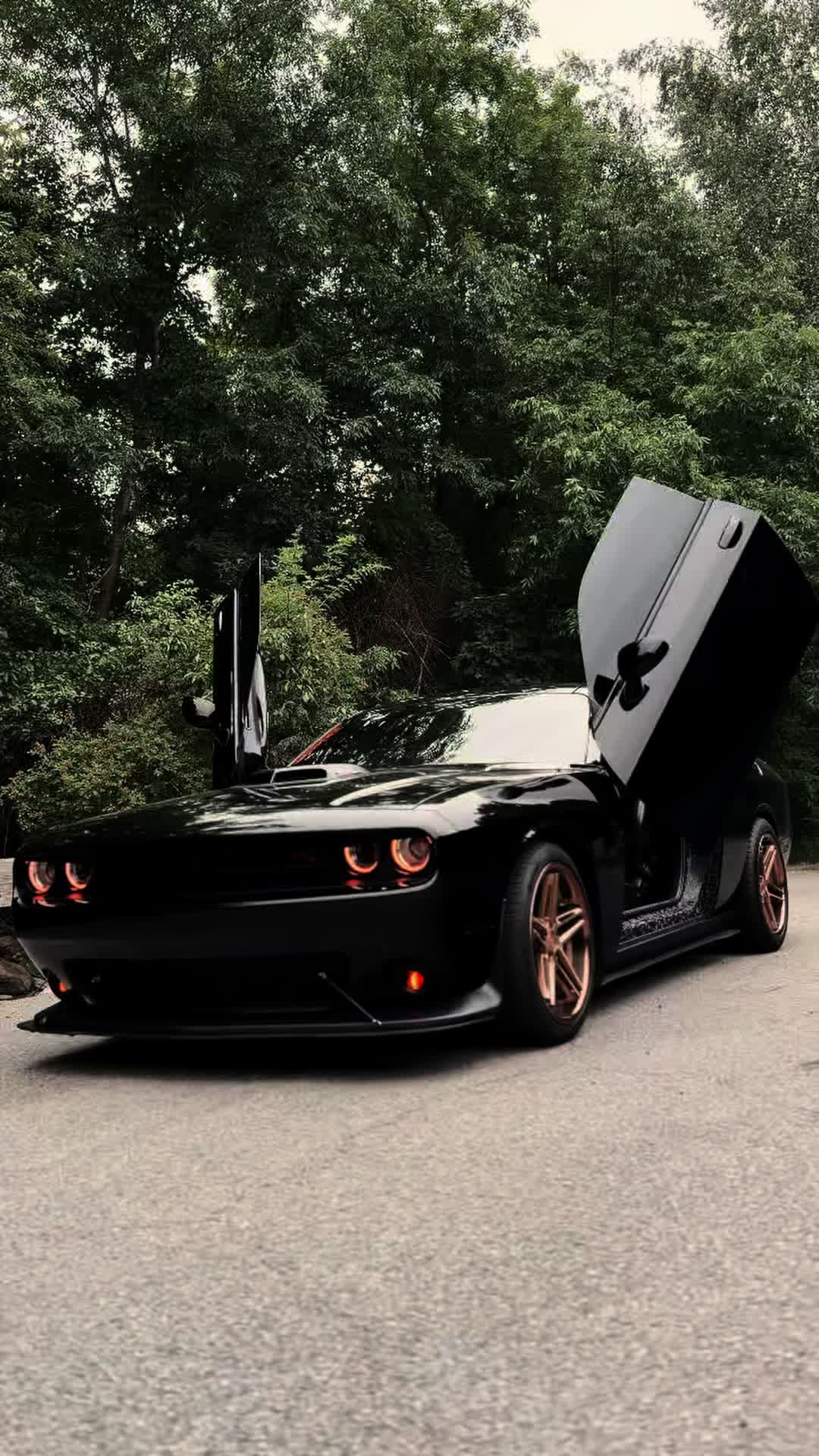 @Scatpack Bee 🐝