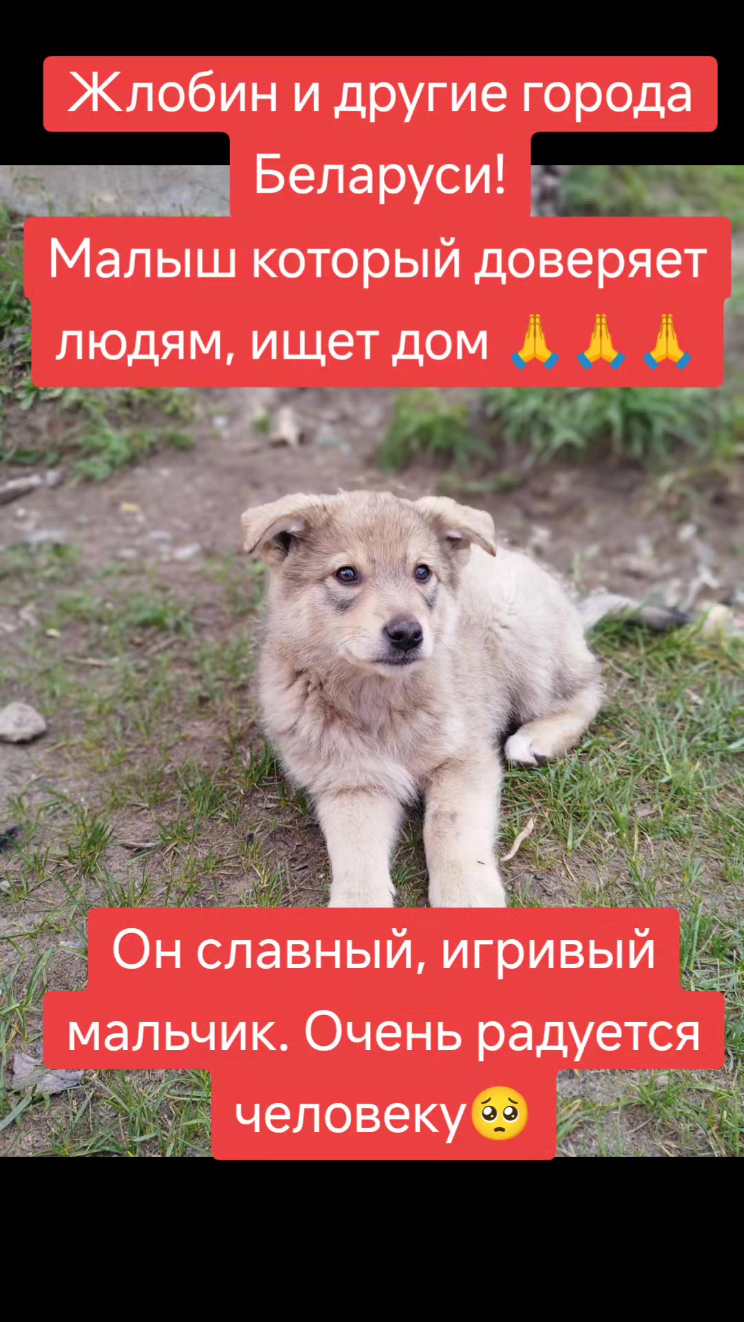 @Светлана Козлова