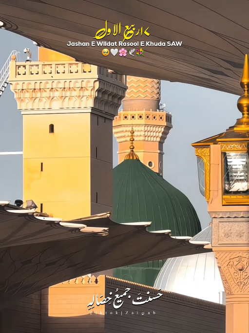 @𝐙𝐀𝐈ن𝐀𝐛ރ