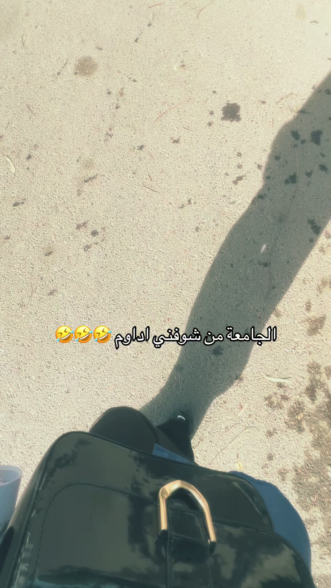 @Zainab🦋