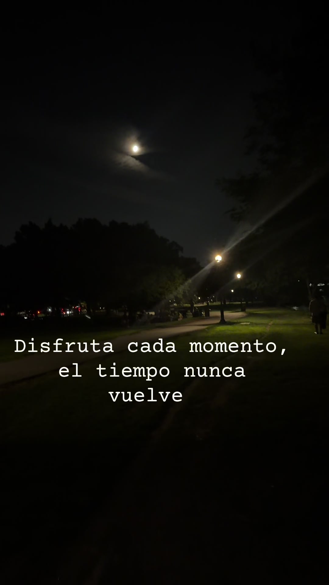 @miguelangel