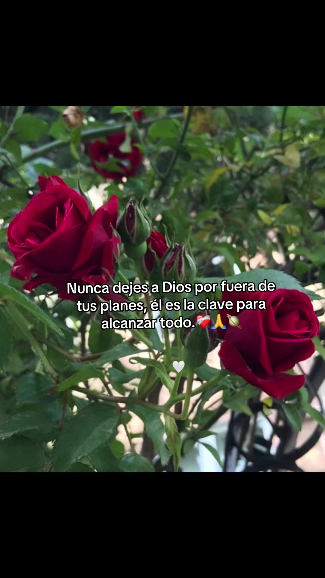 @deysigarcia5659