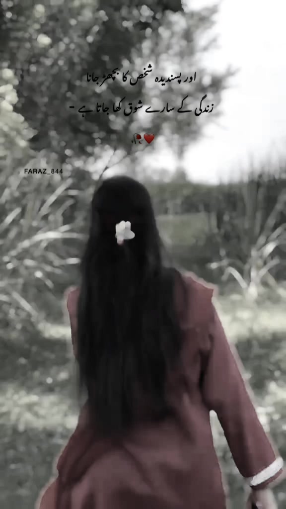 @🦋 𝑄𝑢𝑒𝑒𝑛 🦋
