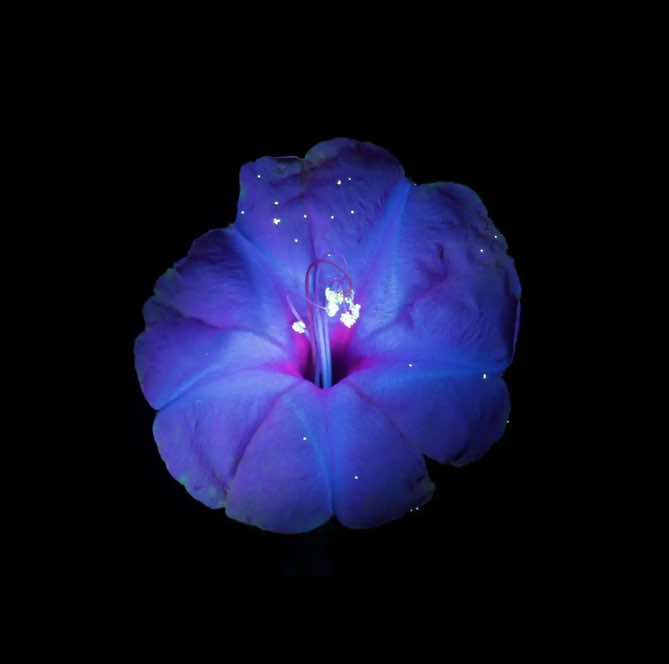 @𝐲𝐰𝐞𝐮