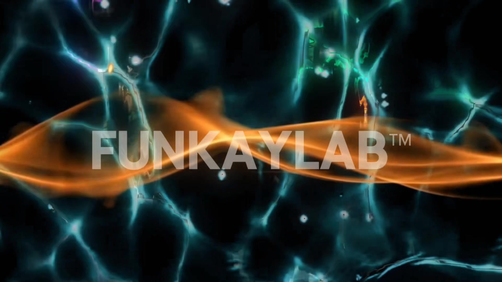 @𝕲𝖍𝖔𝖘𝖙 𝕮𝖆𝖕𝖙𝖆𝖎𝖓