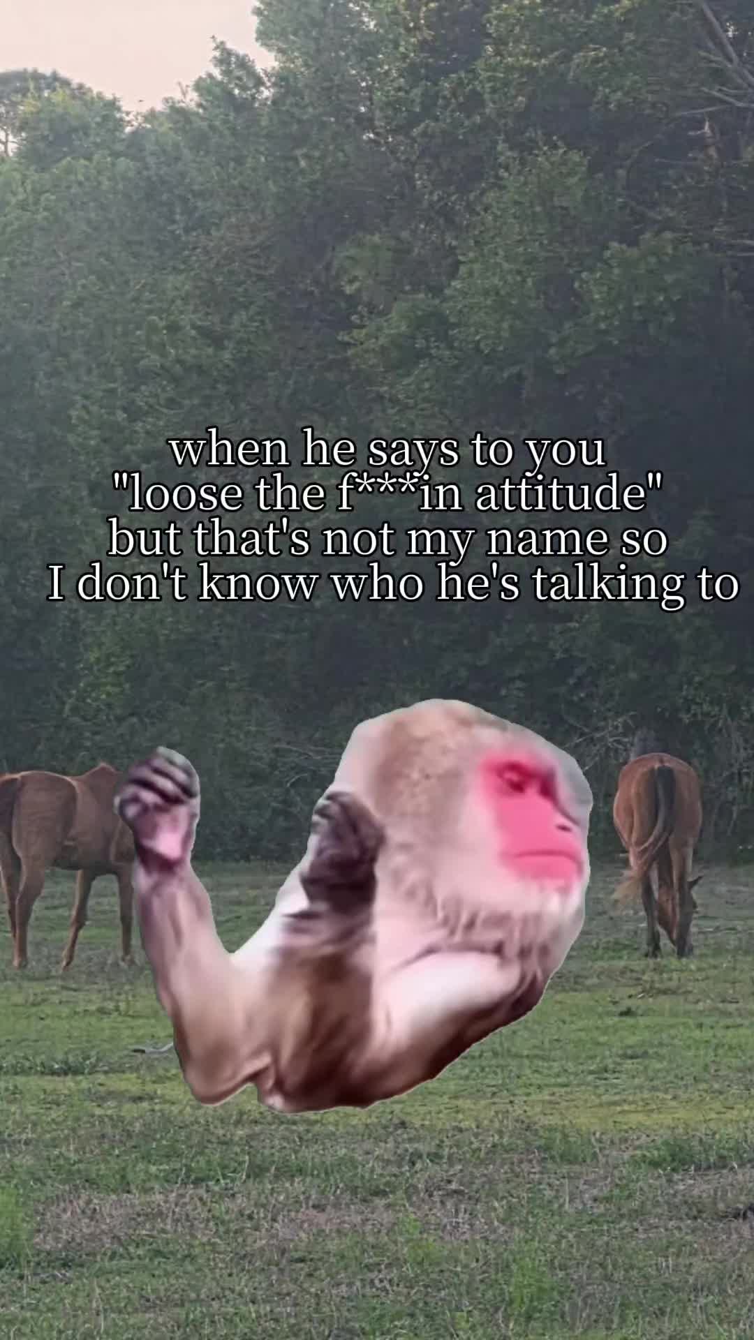 @Rachel Lynn D'angelo