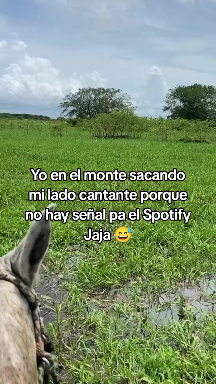 @Juan Meza
