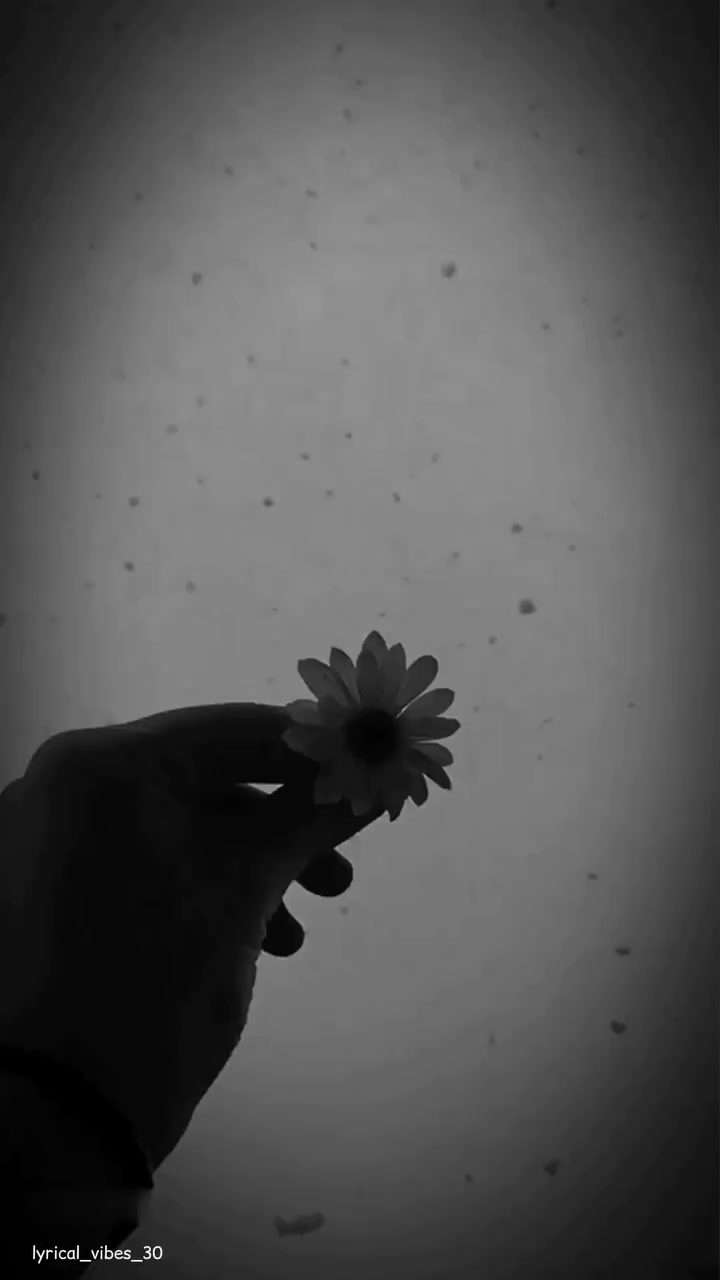 @𝐋𝐲𝐫𝐢𝐜𝐚𝐥 𝐕𝐢𝐛𝐞𝐬
