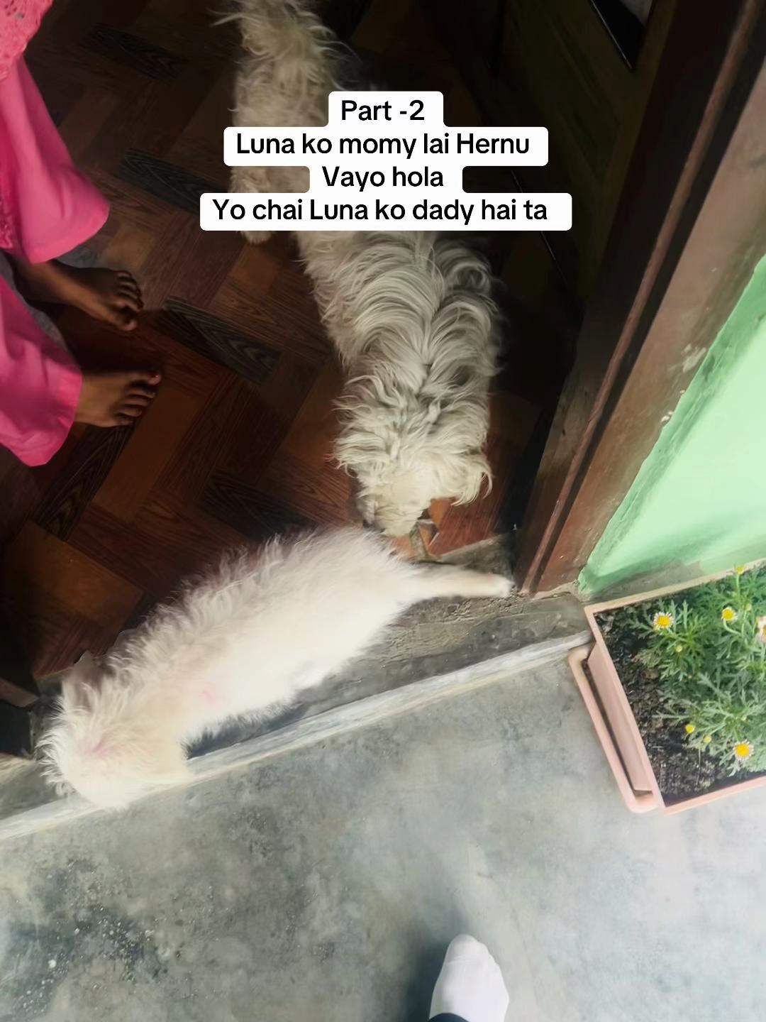 @Luna 