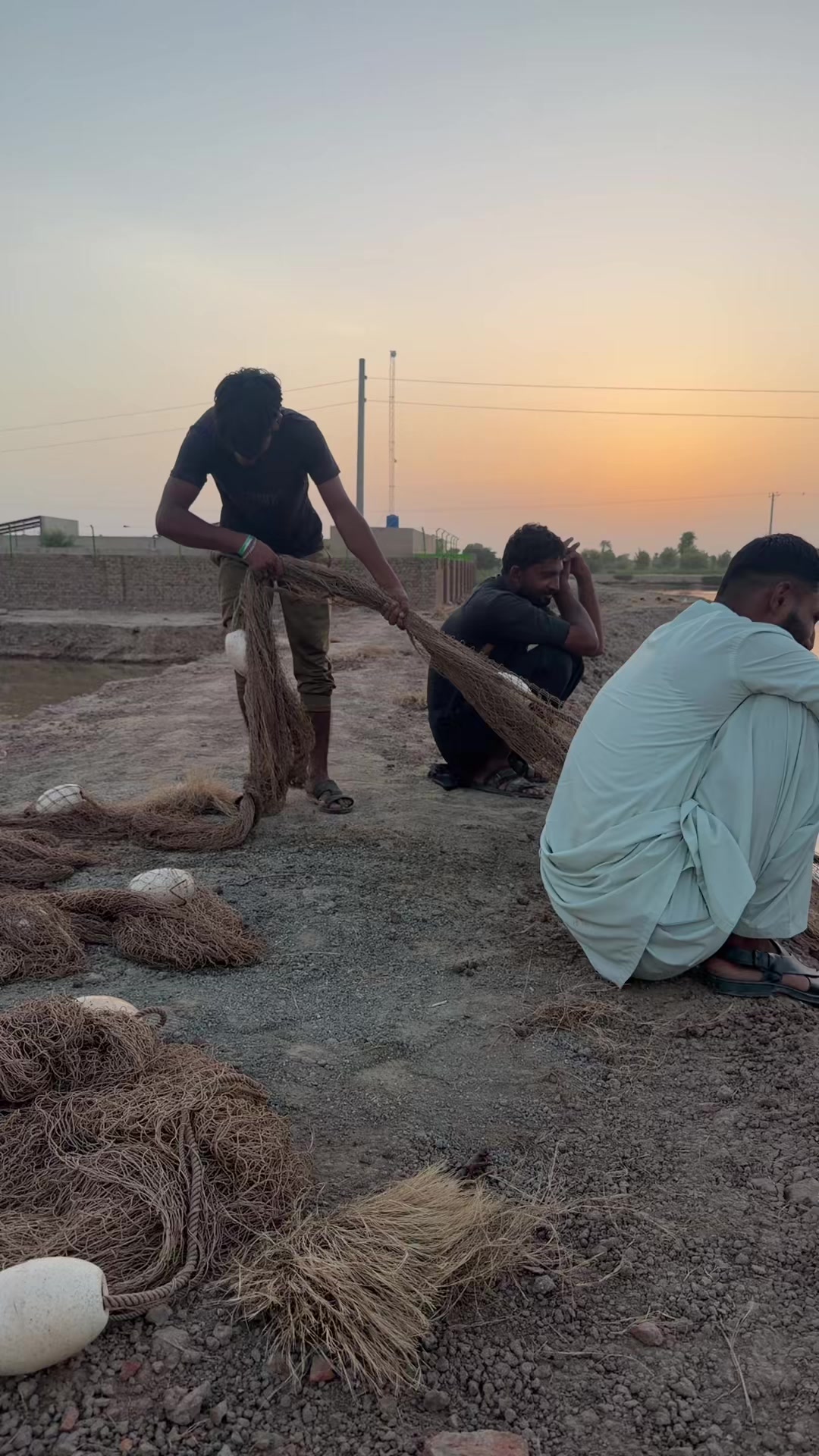 @Malik Dairy Farm 265HR