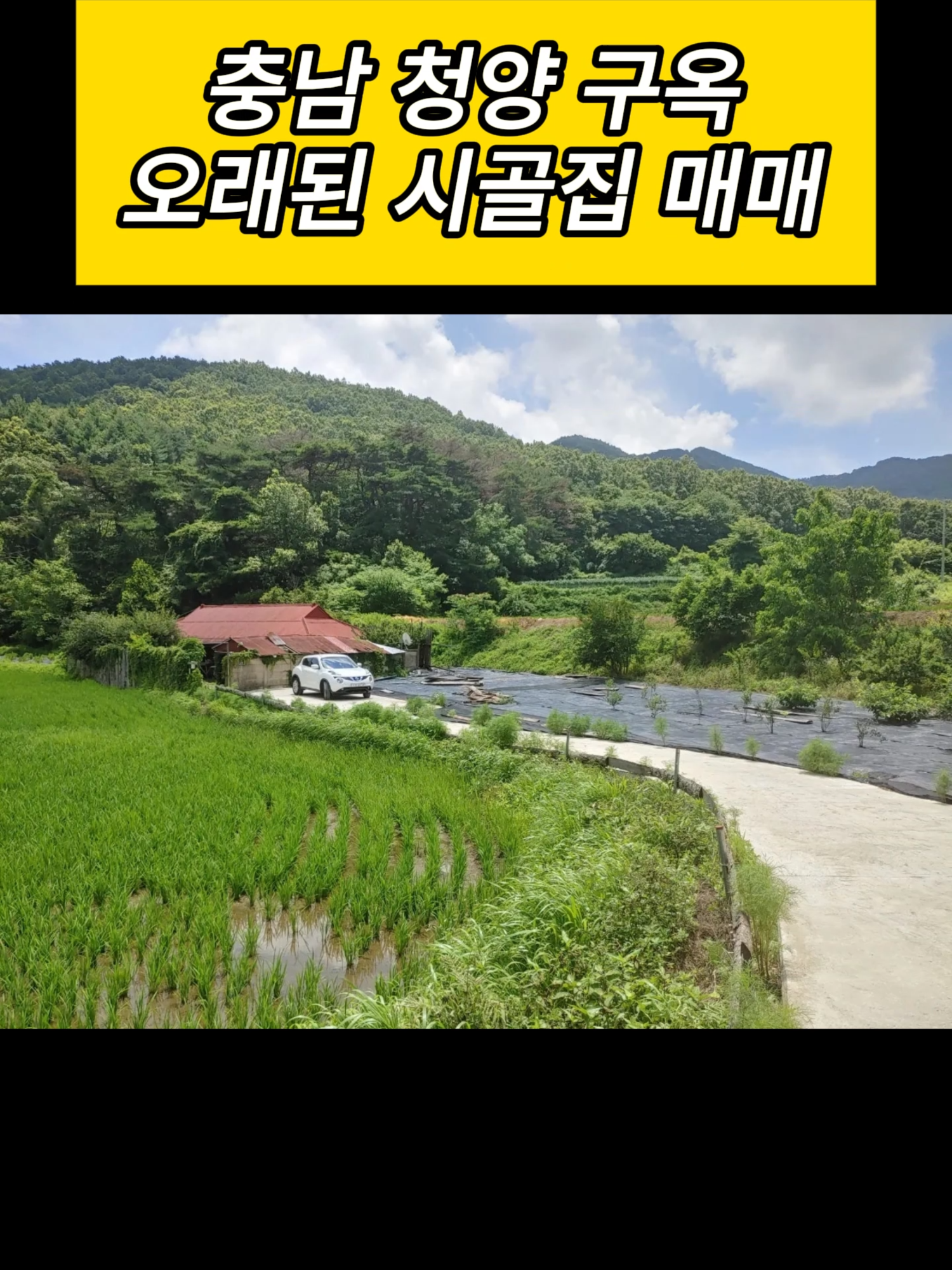@시골집 한옥 전원주택 귀농 귀촌 시골 한달살기 촌캉스