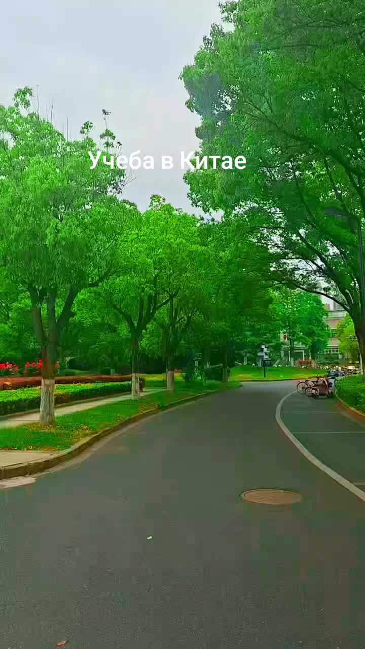 @Ylym we Sy&yacute;ahat