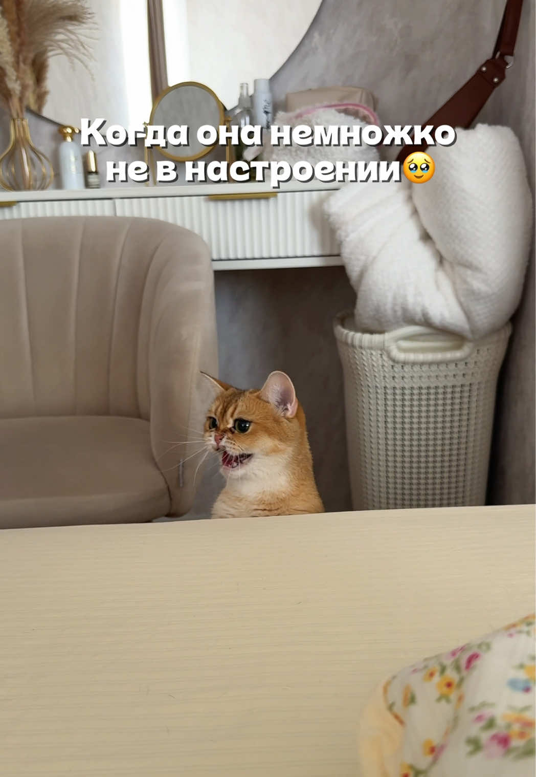 @Владочка