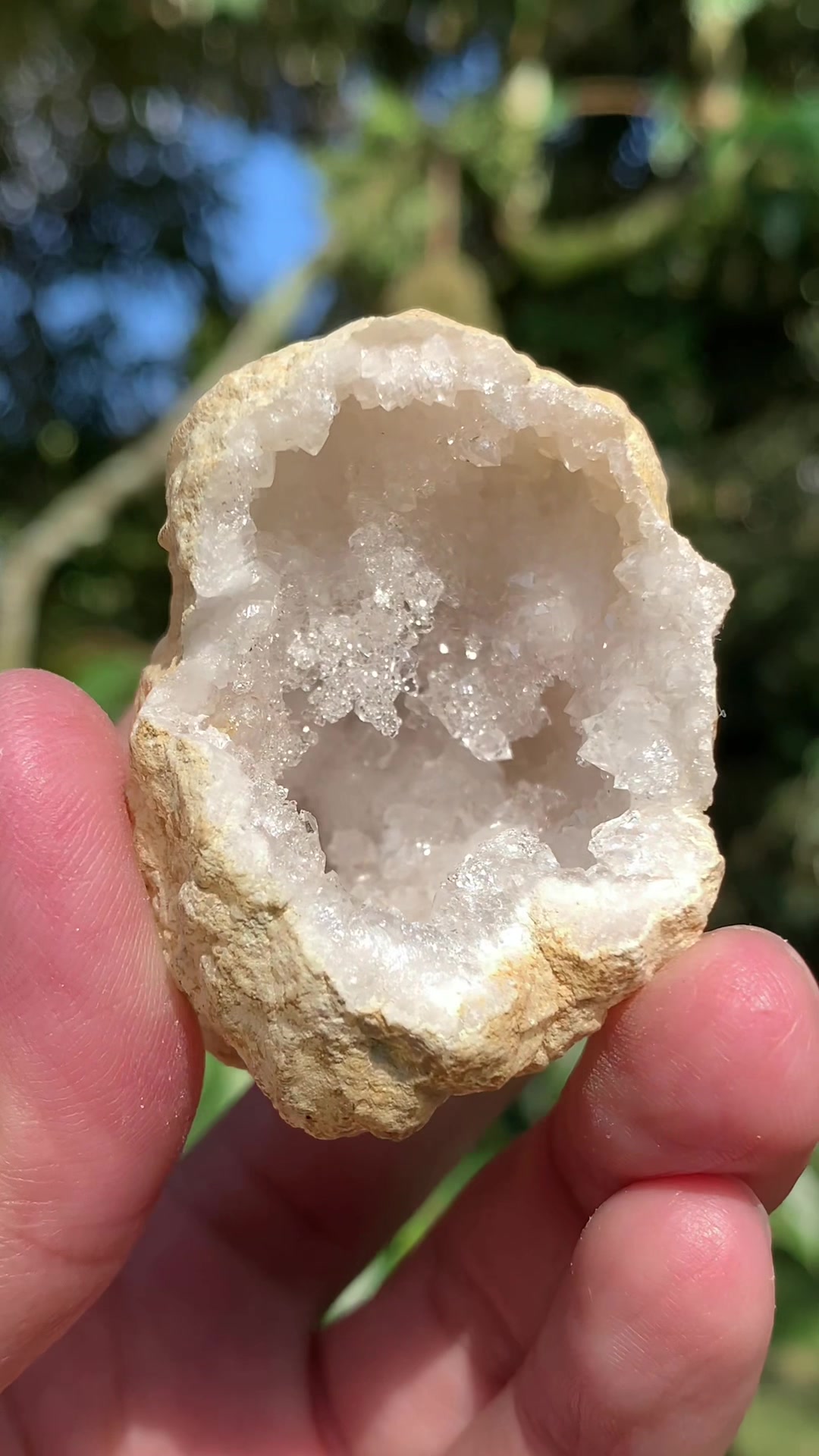 @Pocket of Crystals