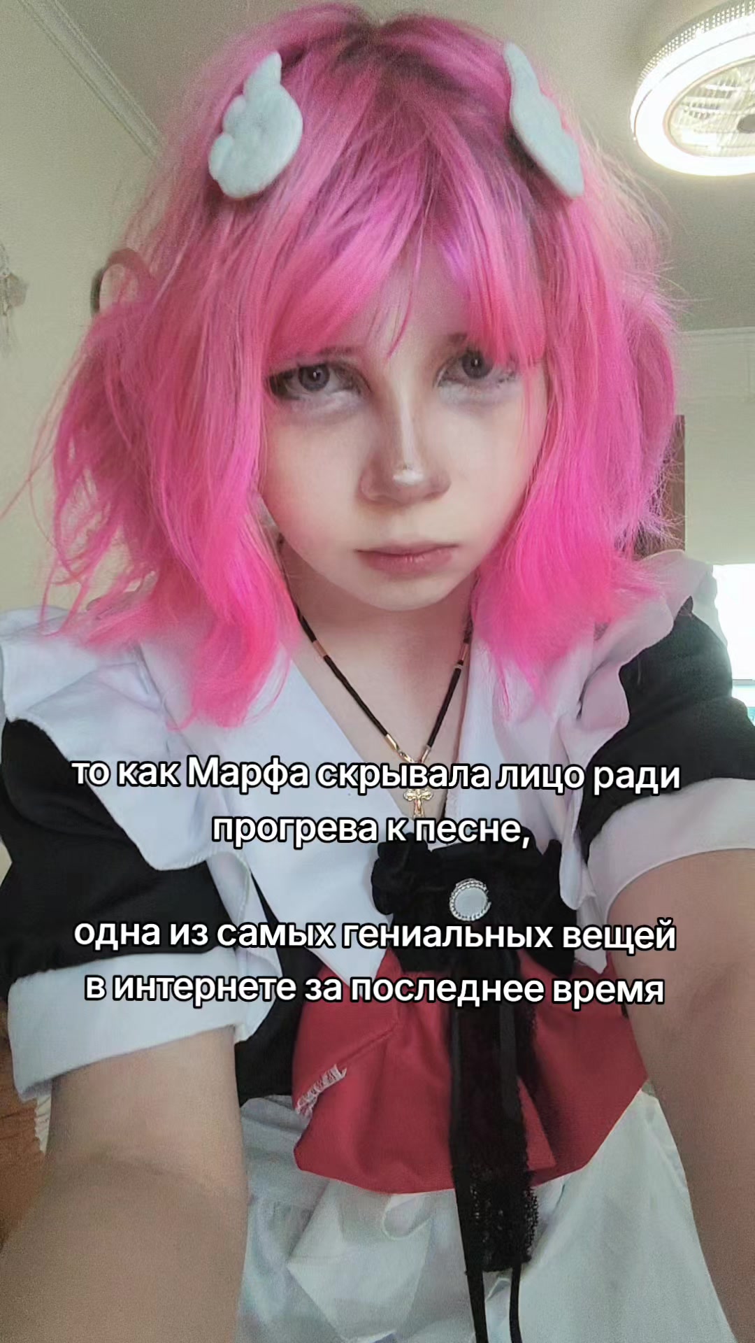 @seikou_nya