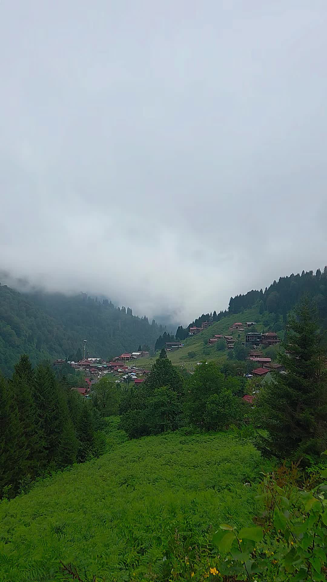 @Eyüp Çoban