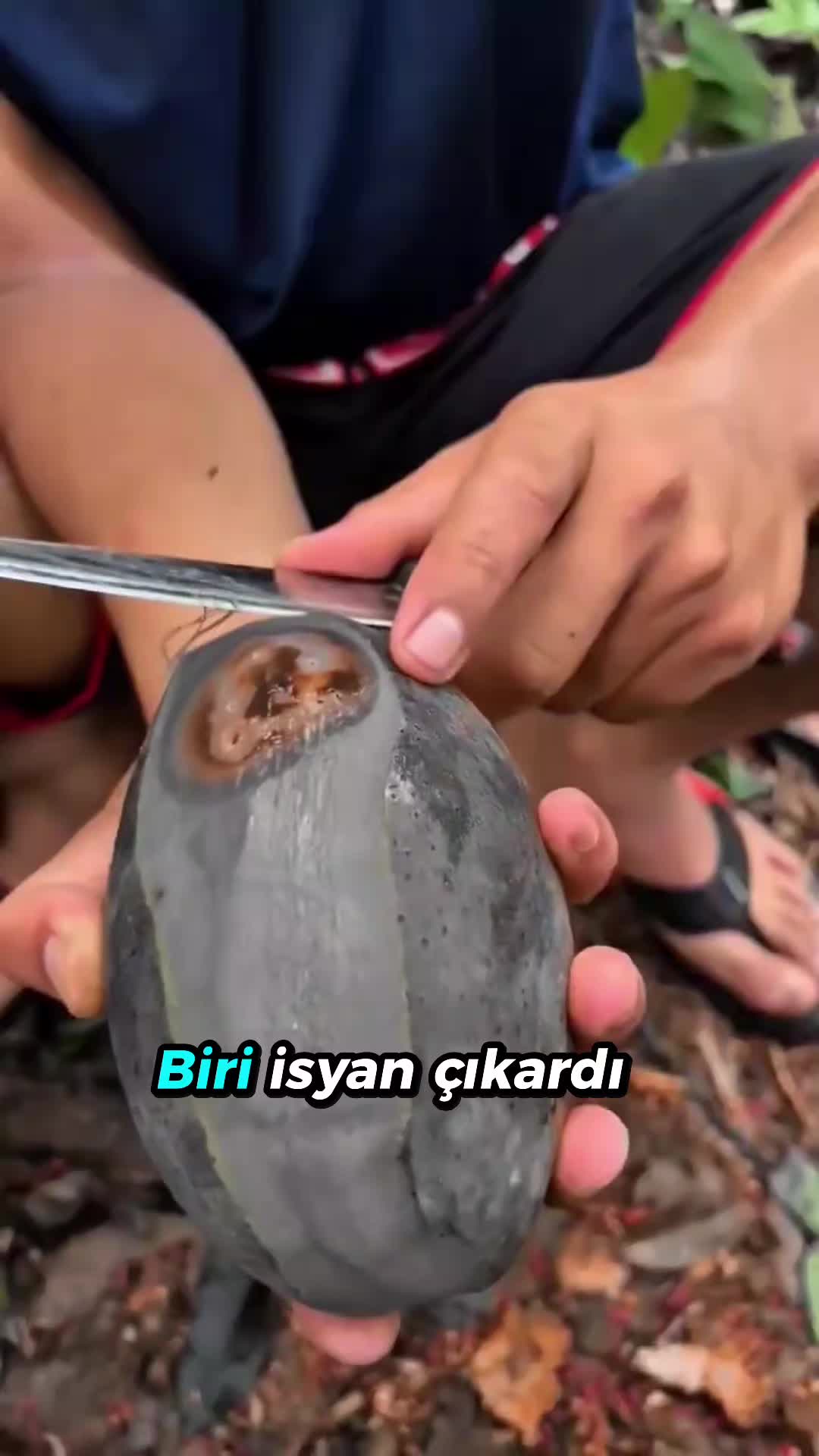 @beynegrafya