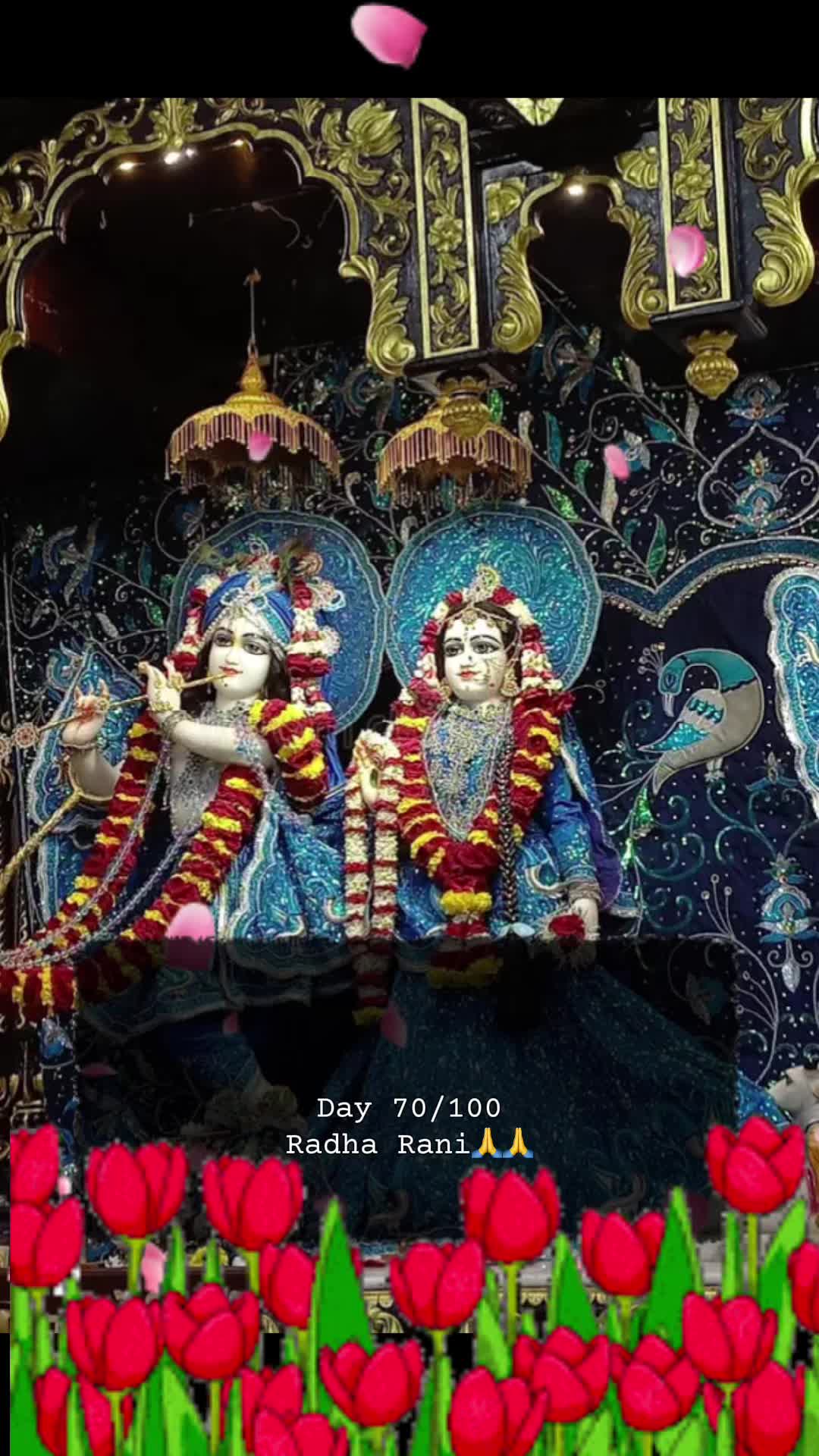 @RadheKrishna🦚🦚🙏🙏