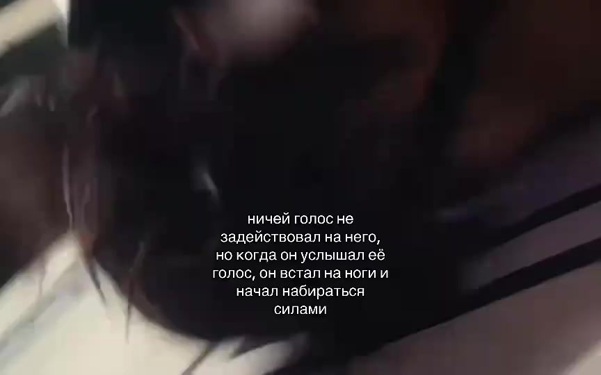 @ЦзянМу226.@
