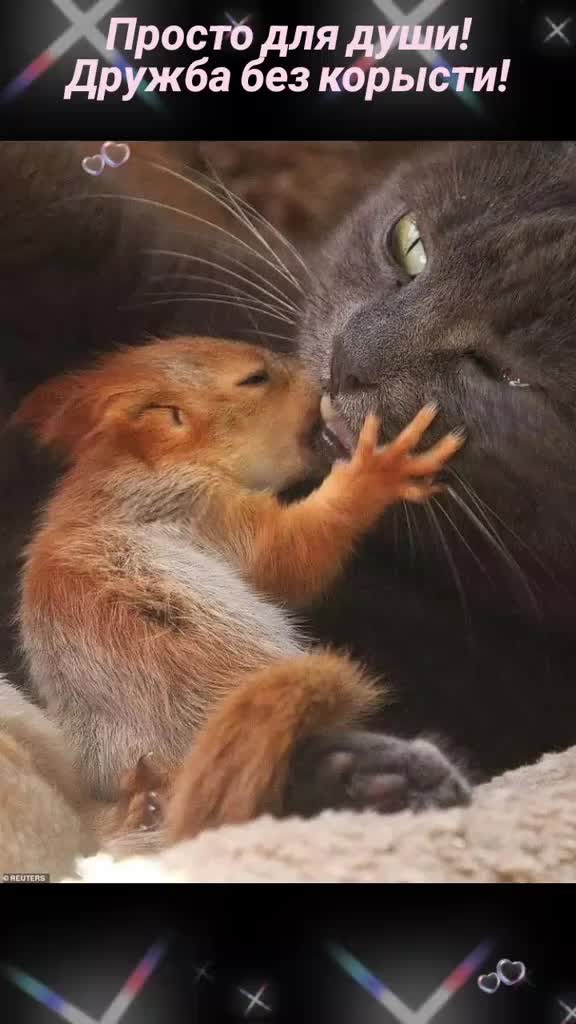 @Елена