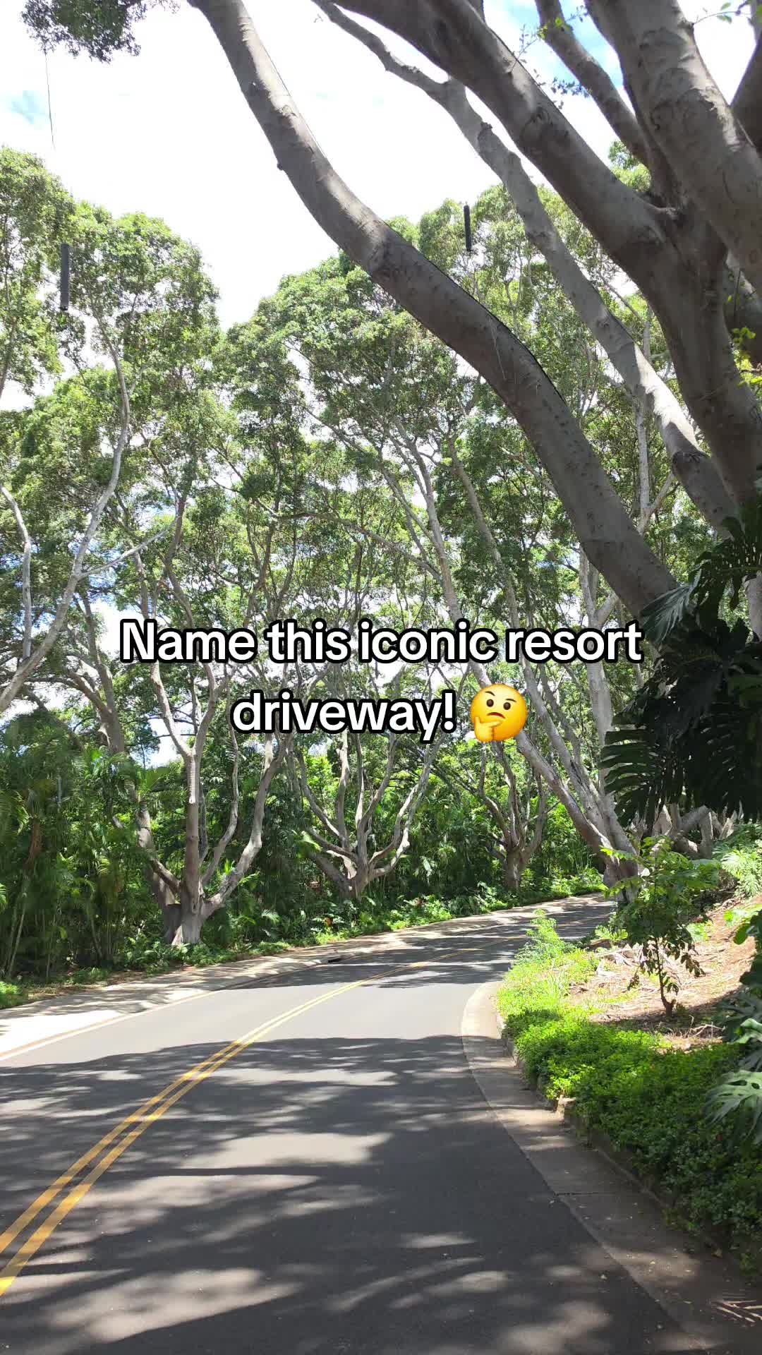 @Hike Maui