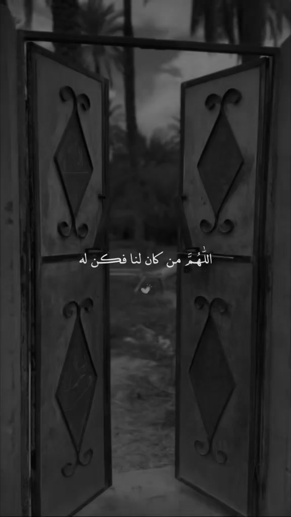 @motez kchaou