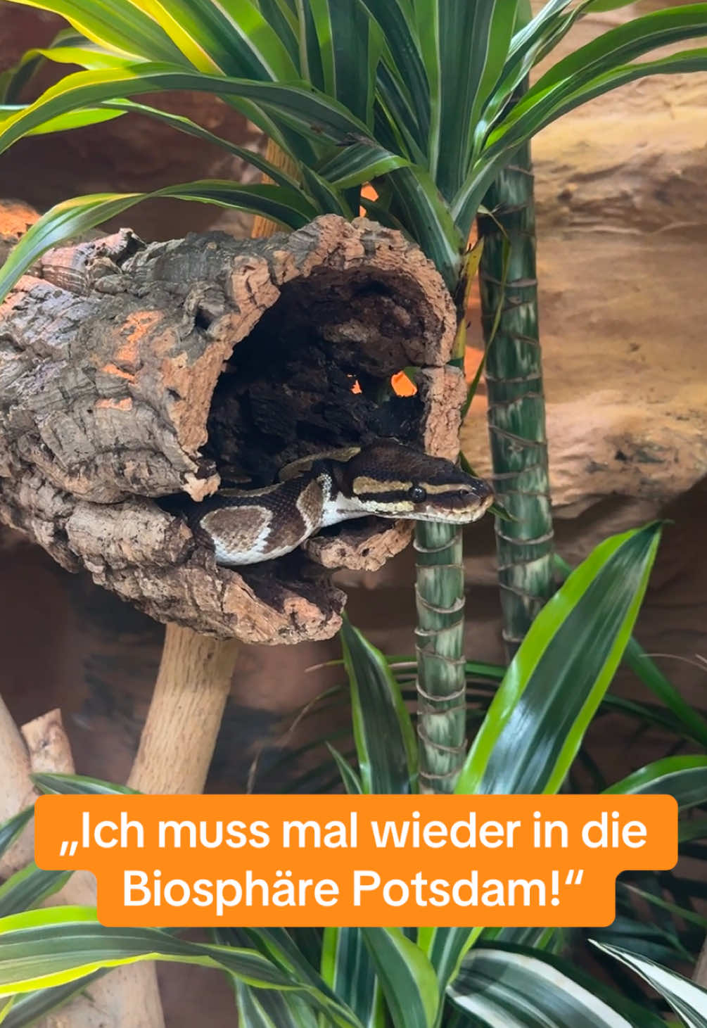 @Biosph&auml;re Potsdam