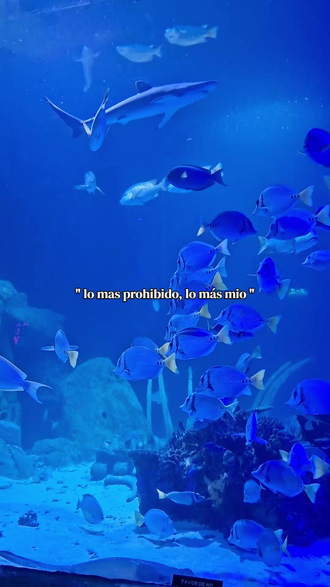 @Gaby
