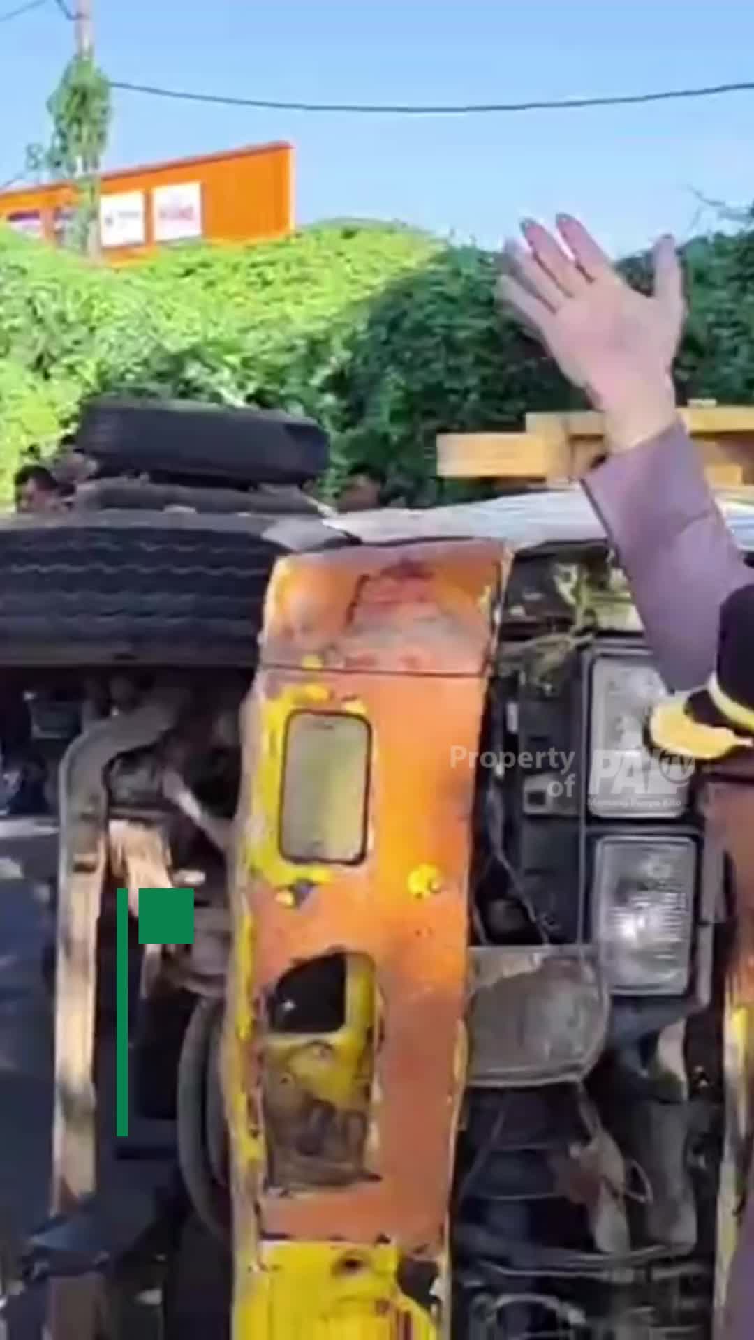 @Paltv-Memang Punyo Kito