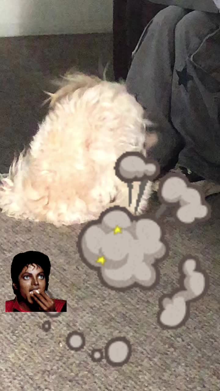@Lili