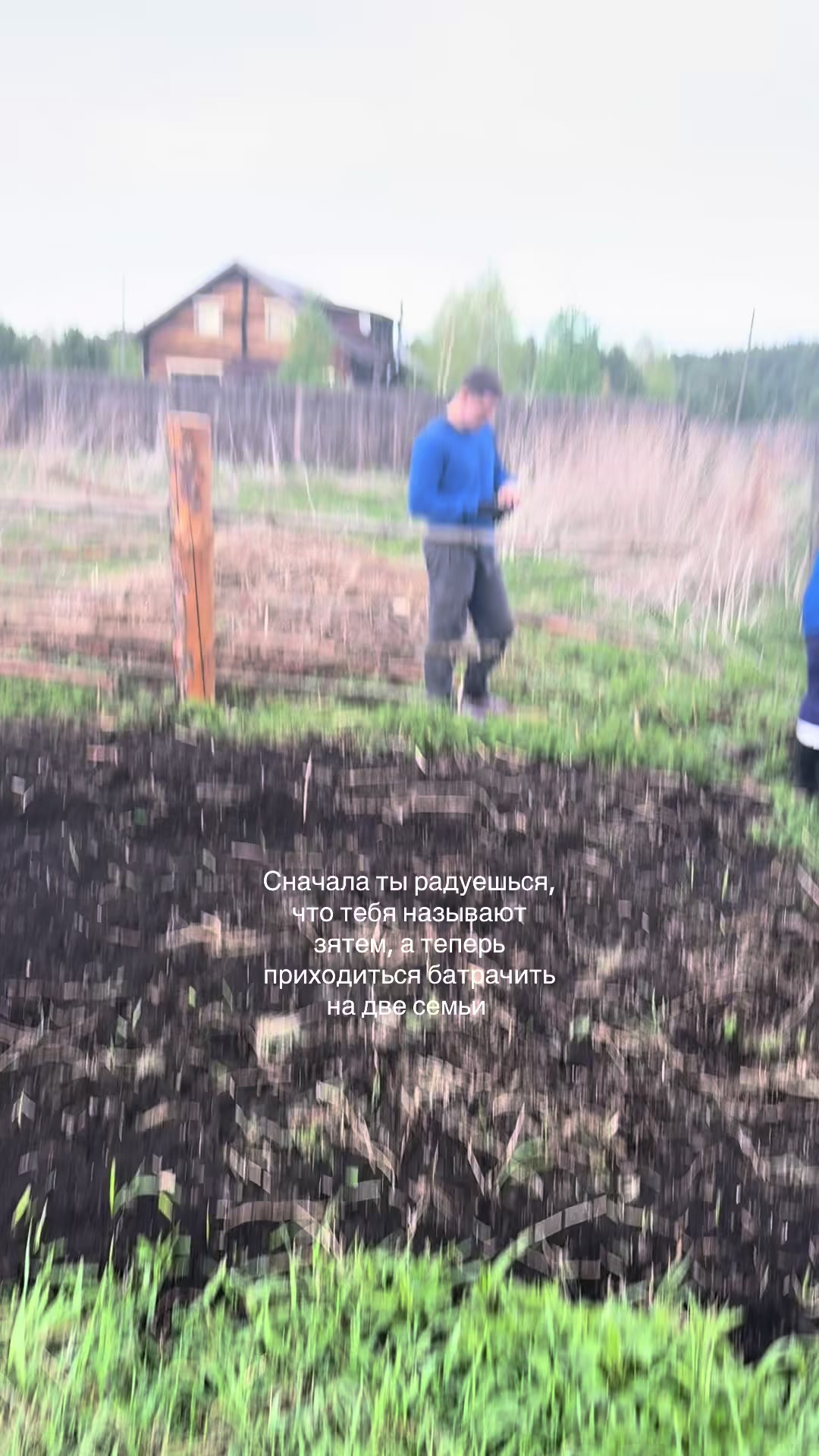 @дашуля