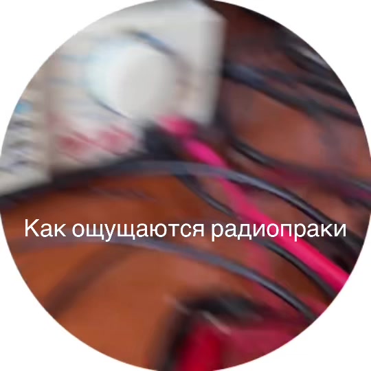@🍊Аблепиха