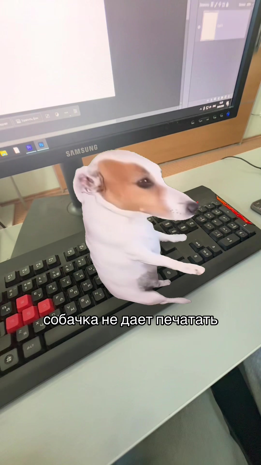 @Рапунцель