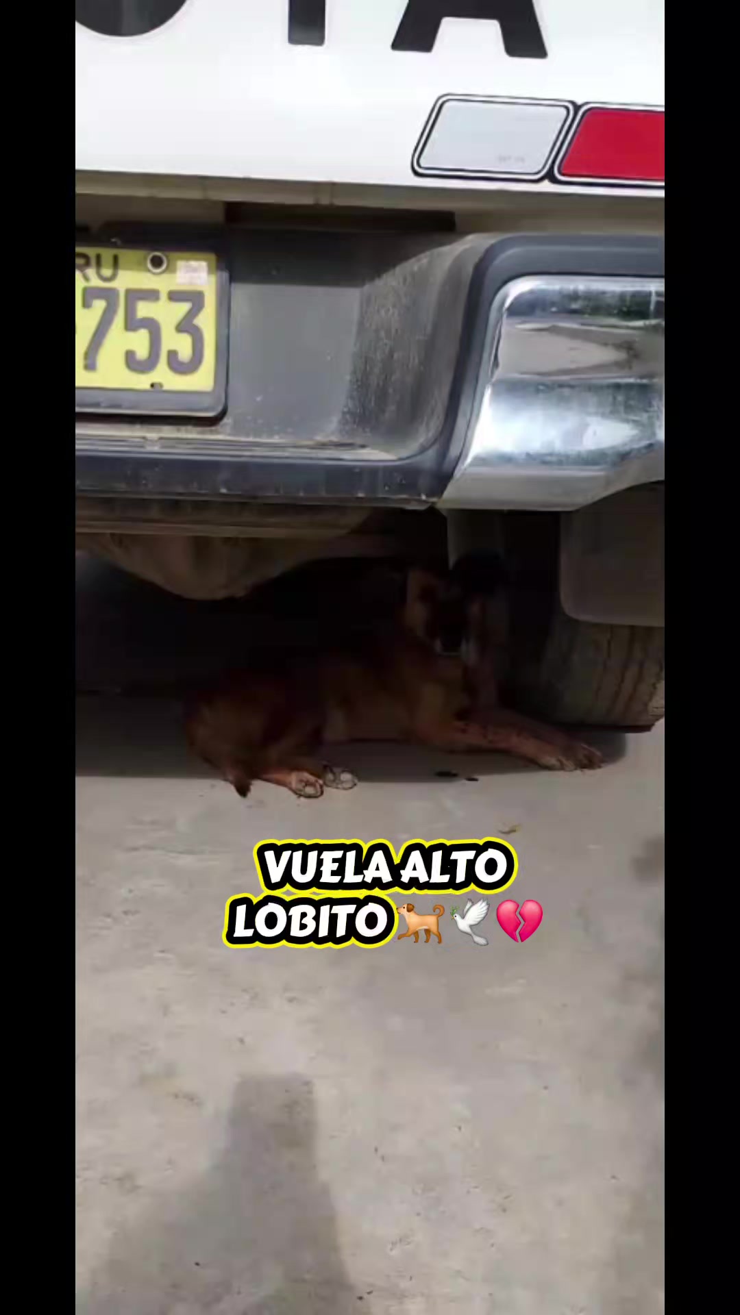 @Huellitasdeamorjaen
