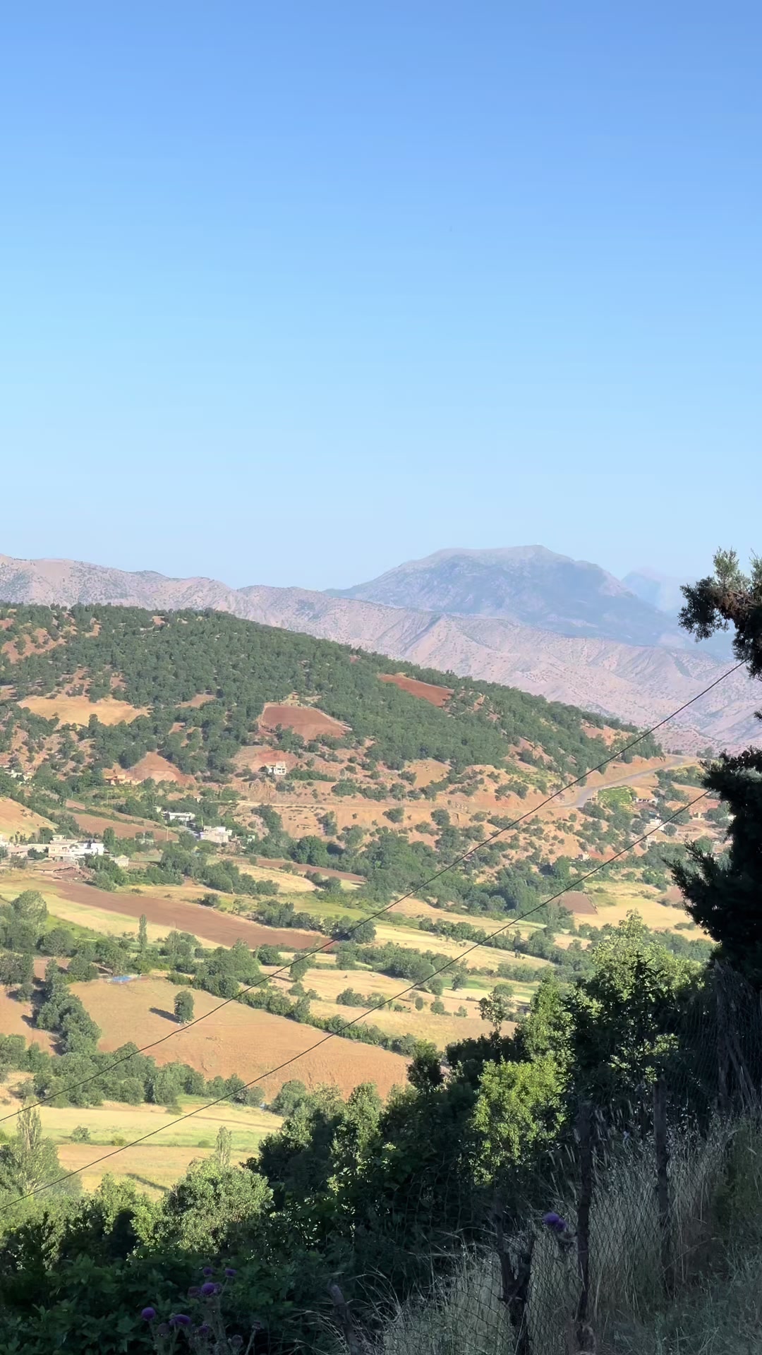 @ئاراز برادۆستی