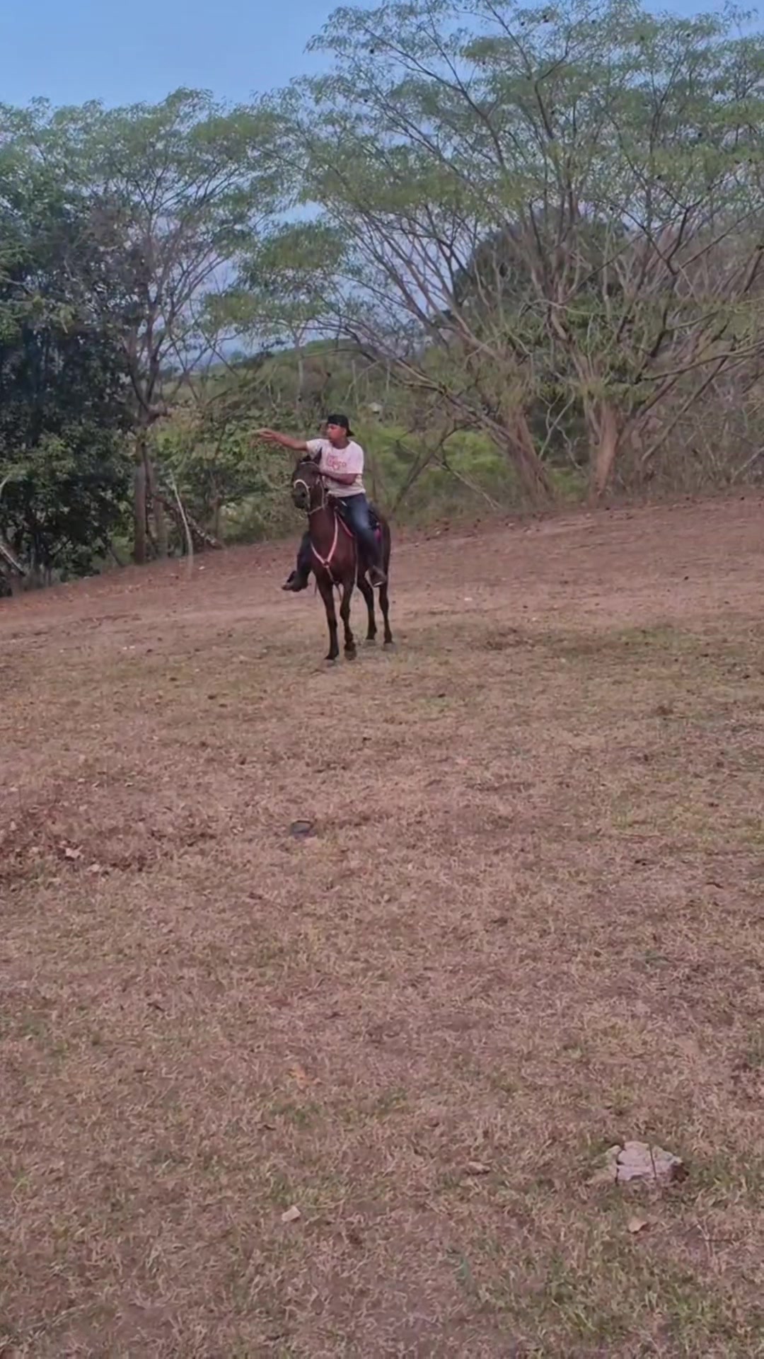 @alex_jr7788
