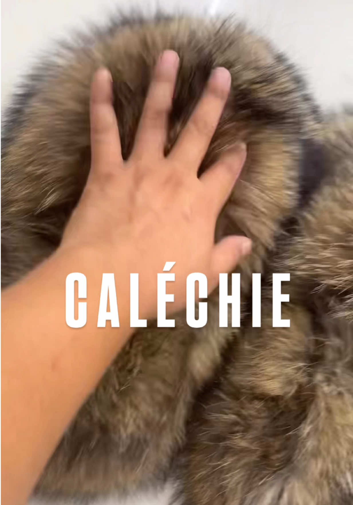 @CALECHIE