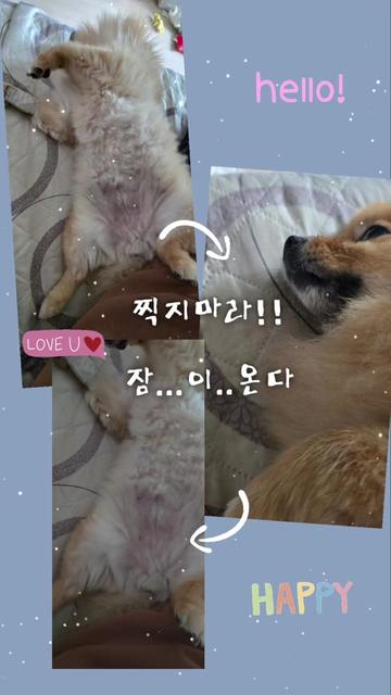 @마녀제나