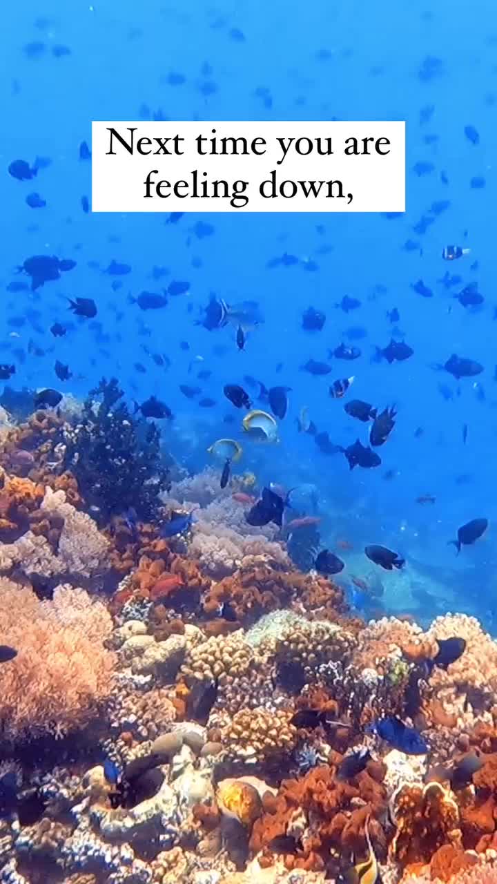 @Scuba Diving with Ara