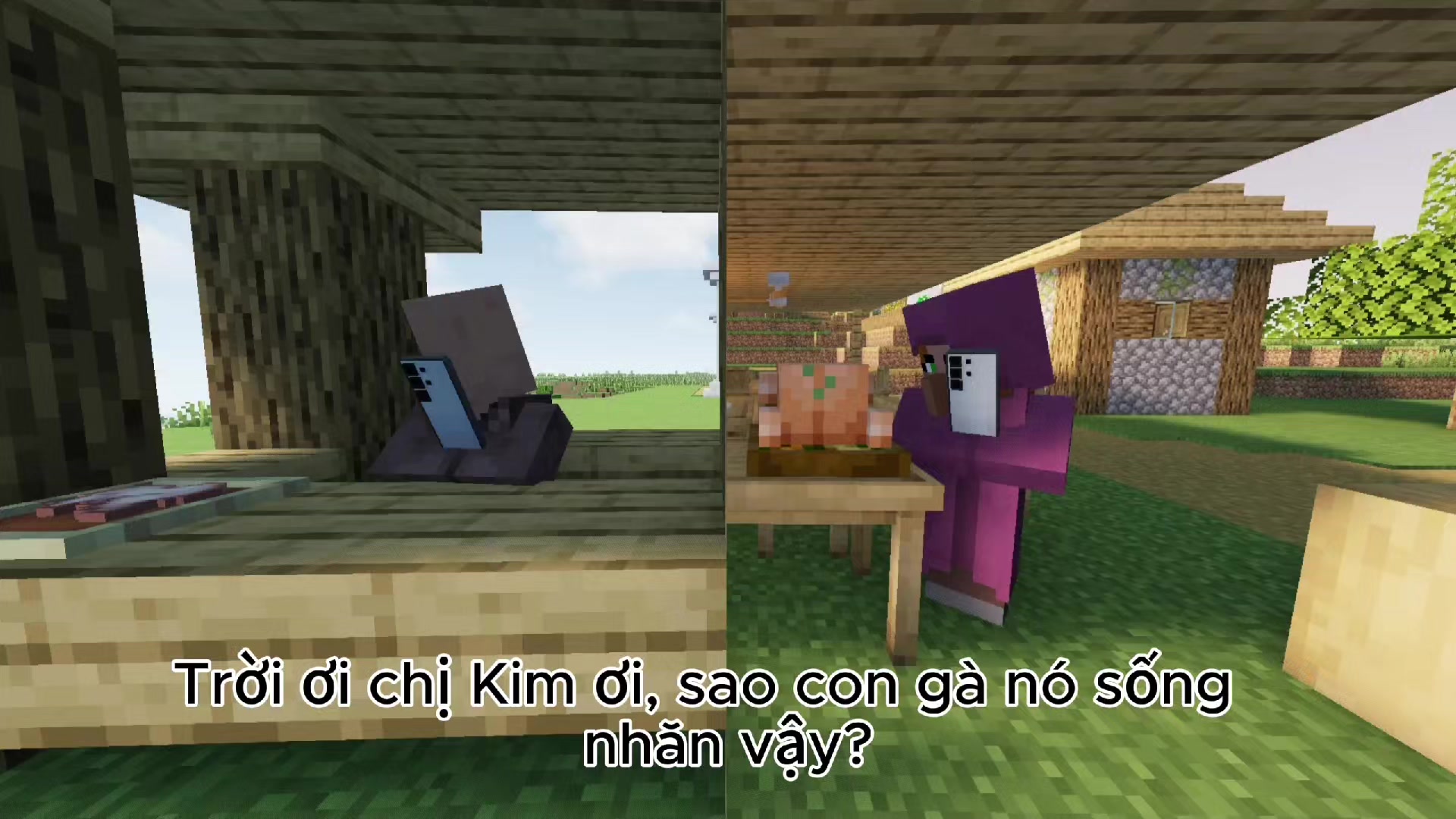 @Cáo Mc