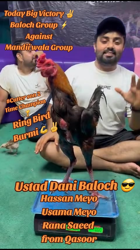 @Dani Baloch